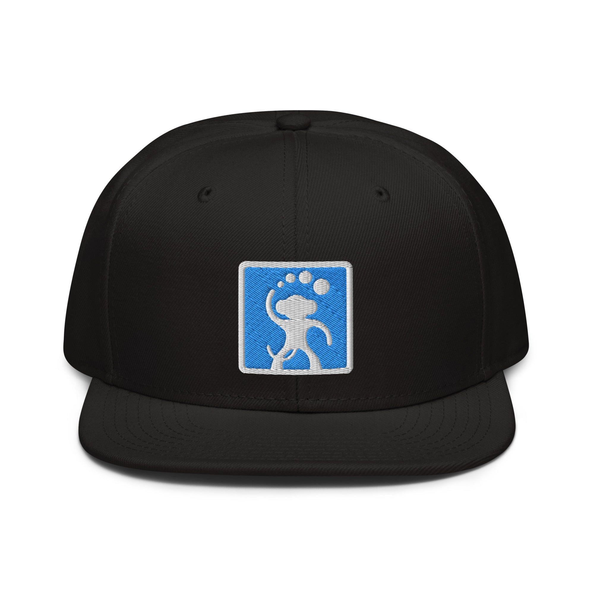 Dumbmunkey "Munkey Squared" Snapback Hat