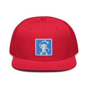 Dumbmunkey "Munkey Squared" Snapback Hat